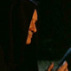 Image for article titled Lost Recap: Is Widmore Actually The Good Guy?